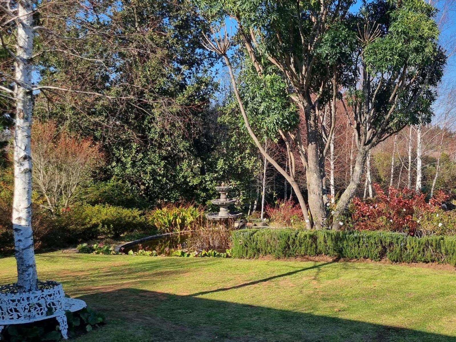 Villa The Edge Mountain Retreat Hogsback Exterior foto