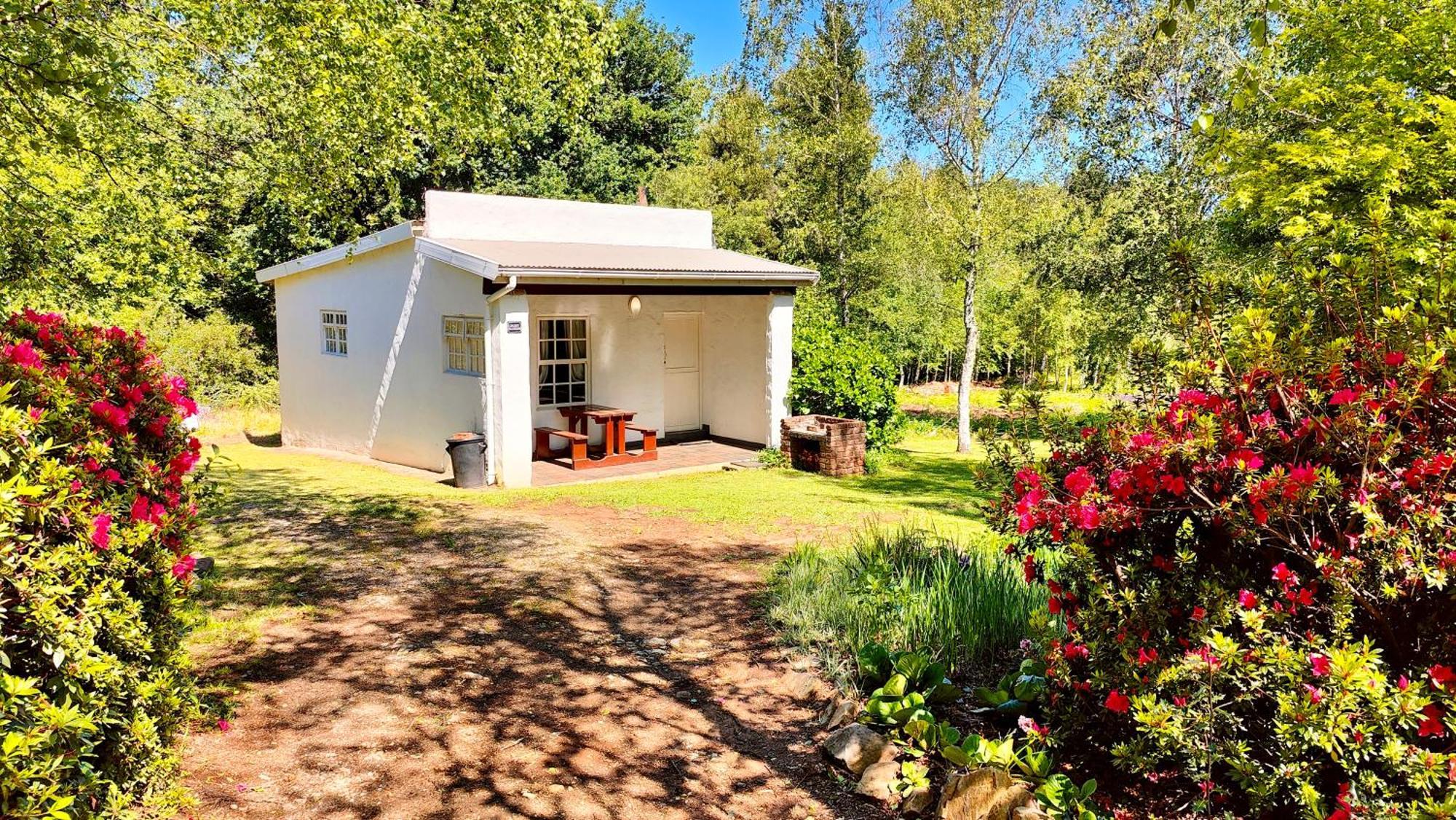 Villa The Edge Mountain Retreat Hogsback Exterior foto